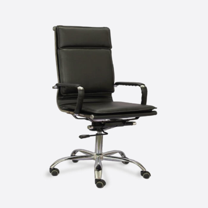 Director Chair KDC- 209