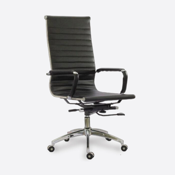 Director Chair KDC- 210